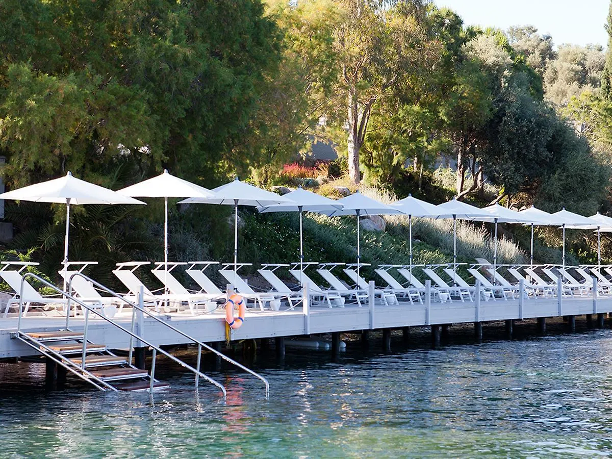 Il Riccio Beach House غولتوركبوكو فندق