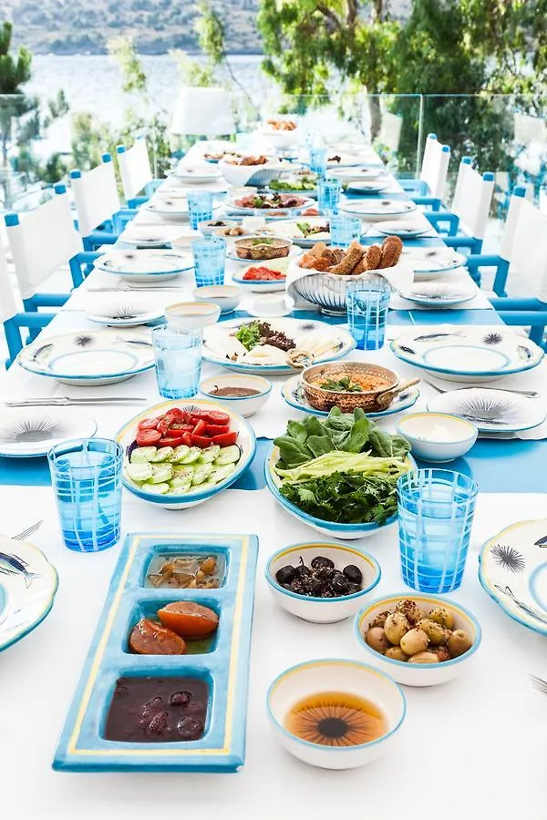 Il Riccio Beach House غولتوركبوكو تركيا